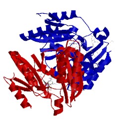 Image of CATH 4mun