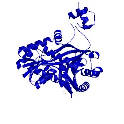 Image of CATH 4mv7