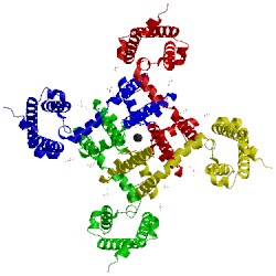 Image of CATH 4mvm