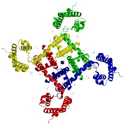 Image of CATH 4mvq