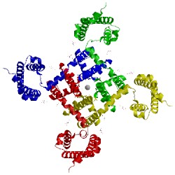 Image of CATH 4mvr