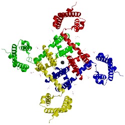 Image of CATH 4mvs