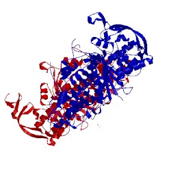 Image of CATH 4mw5