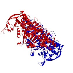 Image of CATH 4mw9