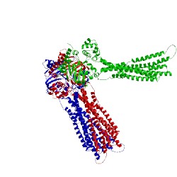 Image of CATH 4myh
