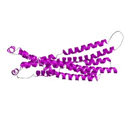 Image of CATH 4myhC01