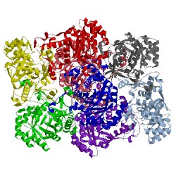 Image of CATH 4myx