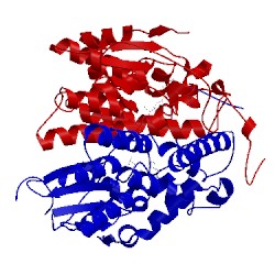 Image of CATH 4mzw