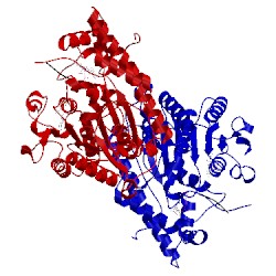 Image of CATH 4n48