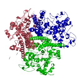 Image of CATH 4n4o
