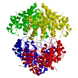 Image of CATH 4n4q
