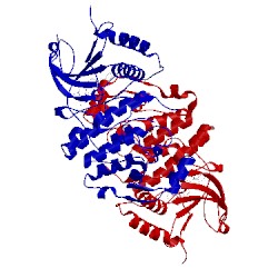 Image of CATH 4n4s