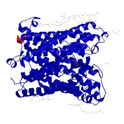 Image of CATH 4n4y