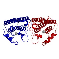 Image of CATH 4n6c