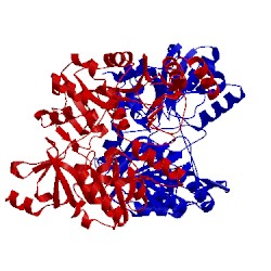 Image of CATH 4n8h