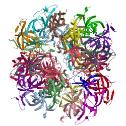 Image of CATH 4n8x