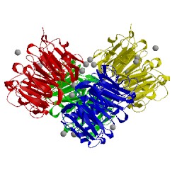 Image of CATH 4nbm