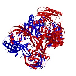 Image of CATH 4ncb