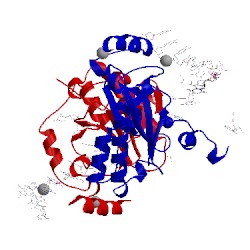 Image of CATH 4ndi