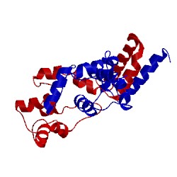 Image of CATH 4ndw