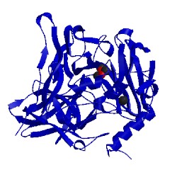 Image of CATH 4ner