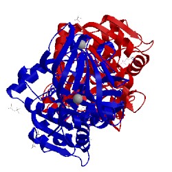 Image of CATH 4nfs