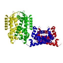 Image of CATH 4nft