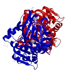 Image of CATH 4ng5