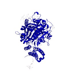 Image of CATH 4ngm
