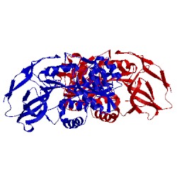 Image of CATH 4nh4