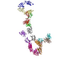 Image of CATH 4nhg
