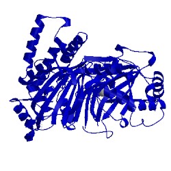 Image of CATH 4nhm