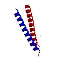 Image of CATH 4nj2
