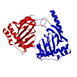 Image of CATH 4nj4