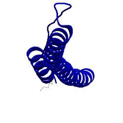 Image of CATH 4njl