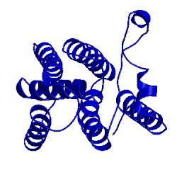 Image of CATH 4njp