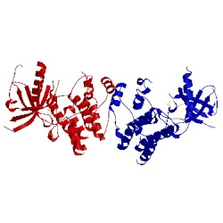 Image of CATH 4nks