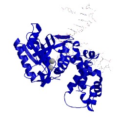 Image of CATH 4nm1