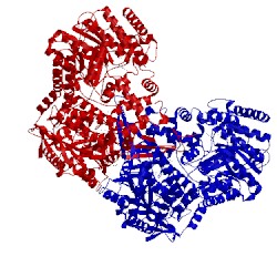 Image of CATH 4nmd