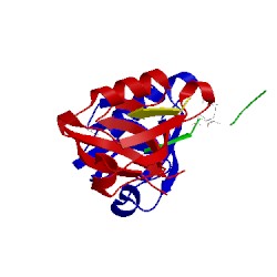 Image of CATH 4nmr