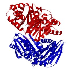 Image of CATH 4nnz