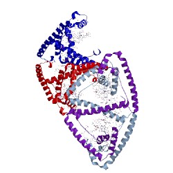 Image of CATH 4nod