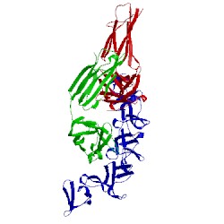 Image of CATH 4np4
