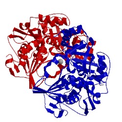 Image of CATH 4nqy