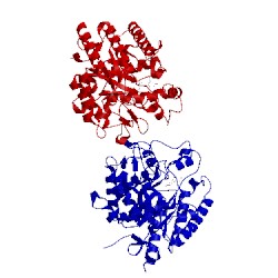 Image of CATH 4nrs