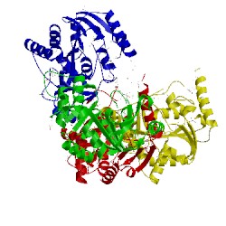 Image of CATH 4ns1