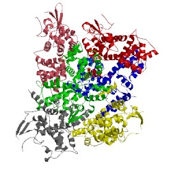 Image of CATH 4nsc