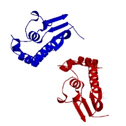 Image of CATH 4nss