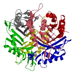 Image of CATH 4ntn