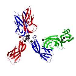 Image of CATH 4nup